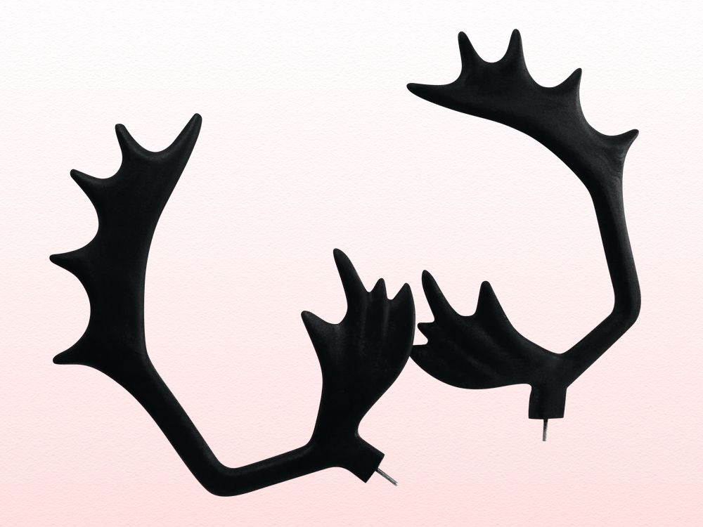 ART. “CORNA RENNA”
