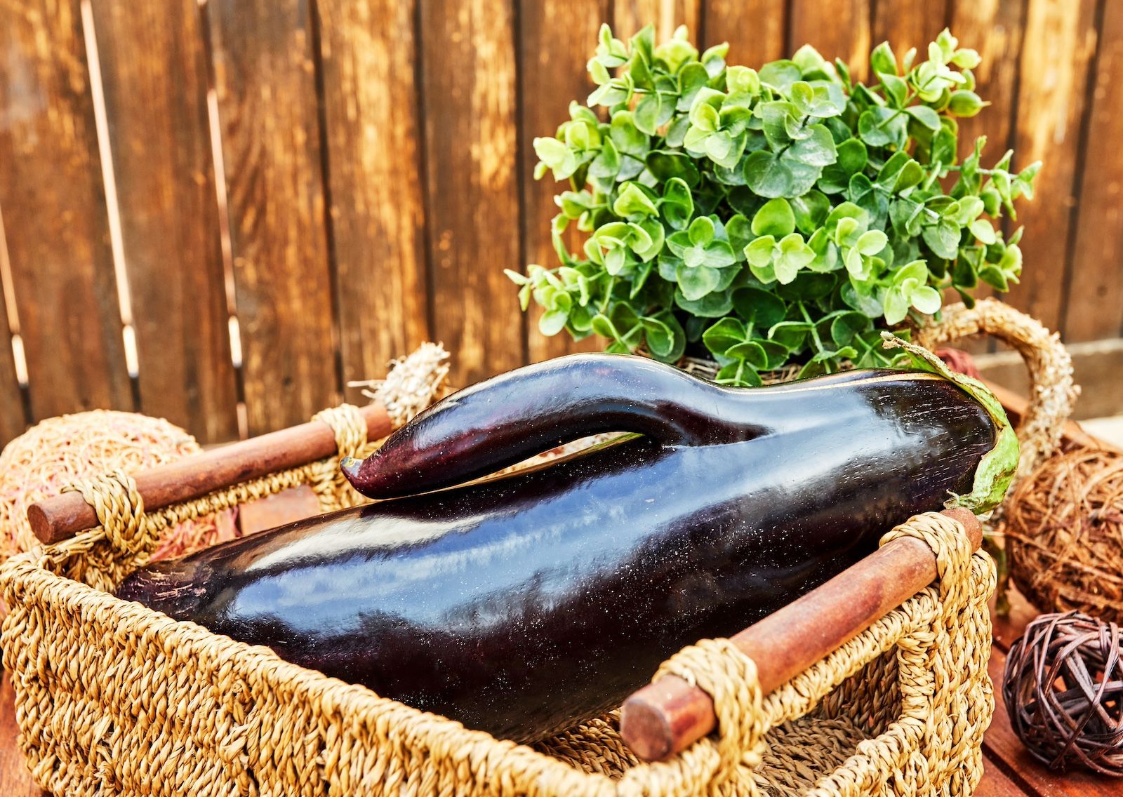 Do You Have Questions About Enjoying More Eggplant in Your Diet? Chews Your Health Has Answers.