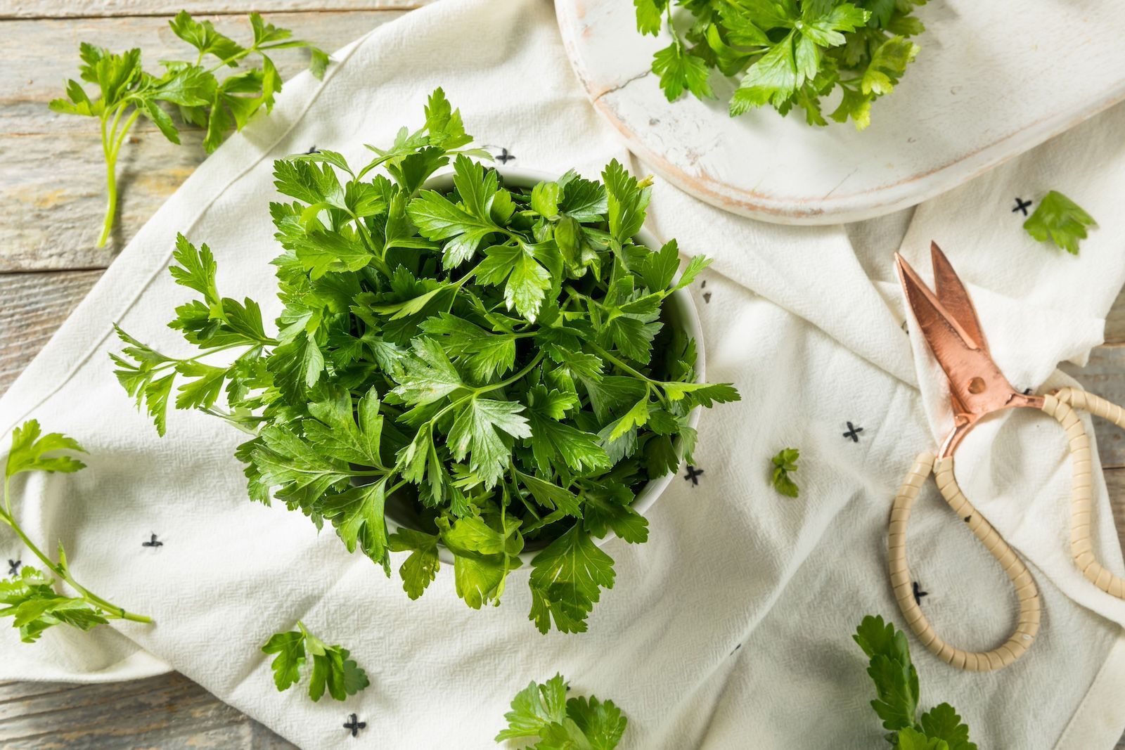 Parsley Isn’t Just Delicious. It Also Has Many Health Benefits. Learn More From Chews Your Health.