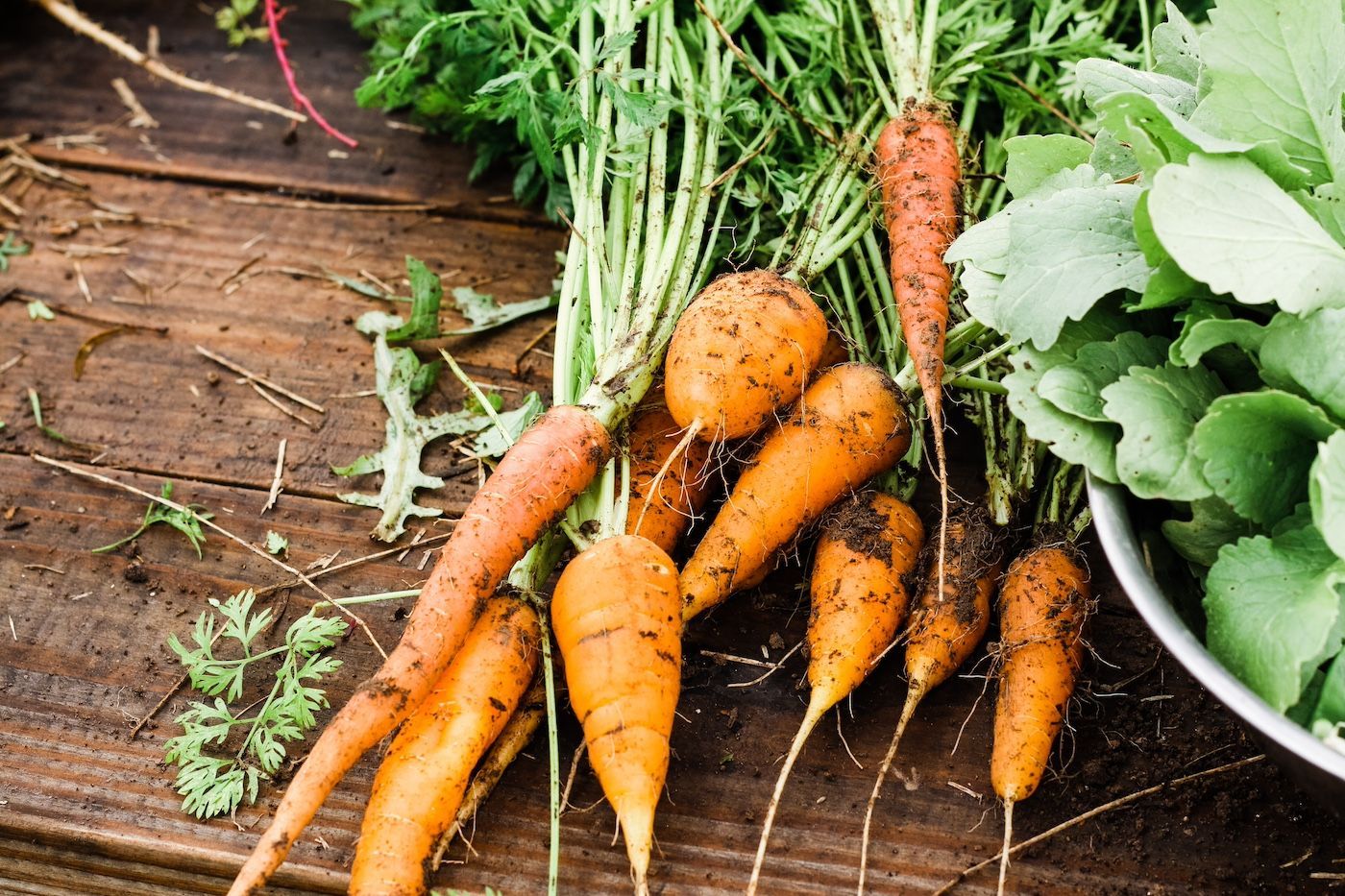Incorporate Vitamin a Rich Foods Like Carrots to Enhance Your Wellness. Learn More.