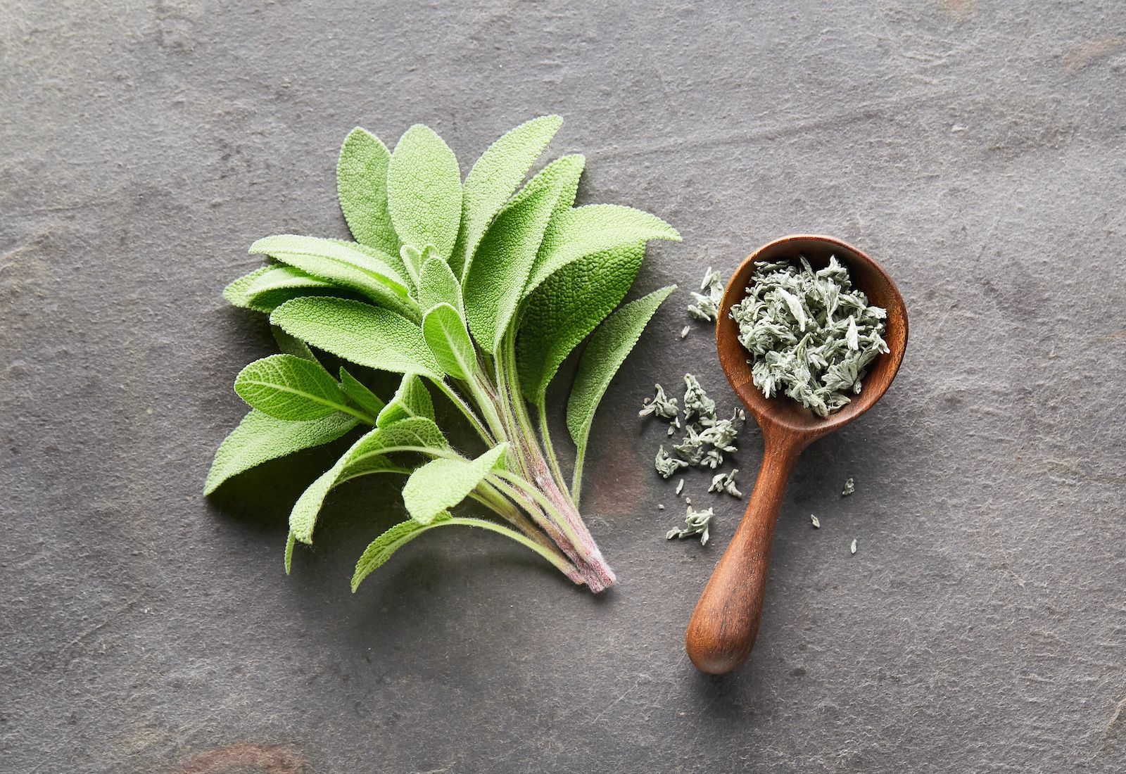 Incorporate Sage Into Your Diet to Discover Many Positive Health Benefits.