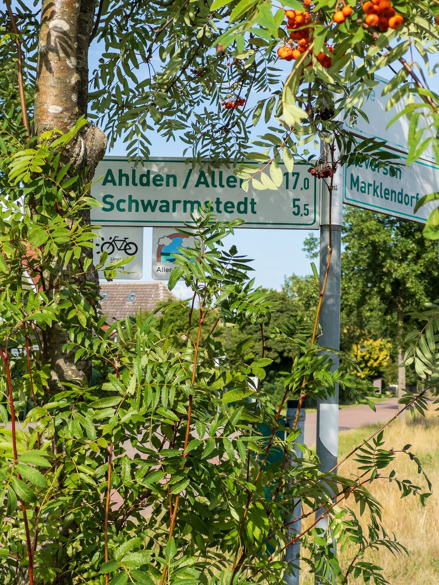 Ein Straßenschild mit Entfernungsangaben, teilweise verdeckt von grünen Blättern und roten Beeren.