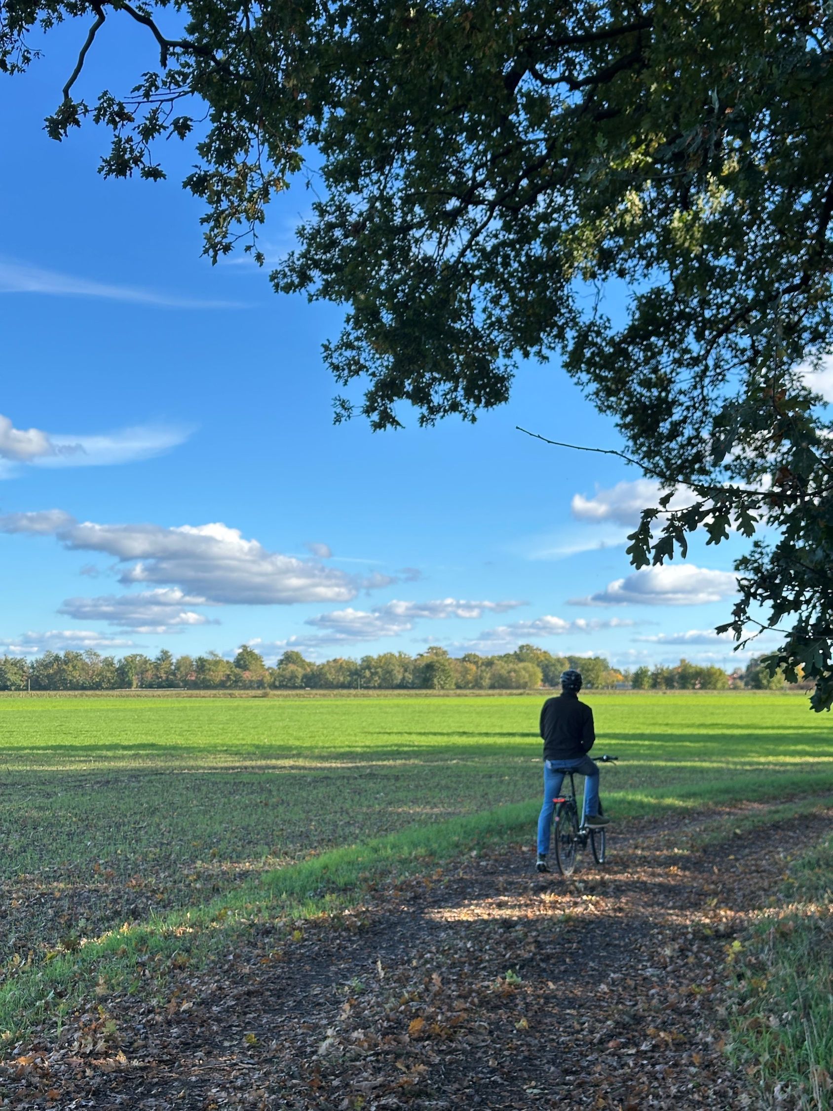 Eine Person fährt mit dem Fahrrad auf einem unbefestigten Weg, der an ein grünes Feld grenzt mit blauen Himmel und Wolken.