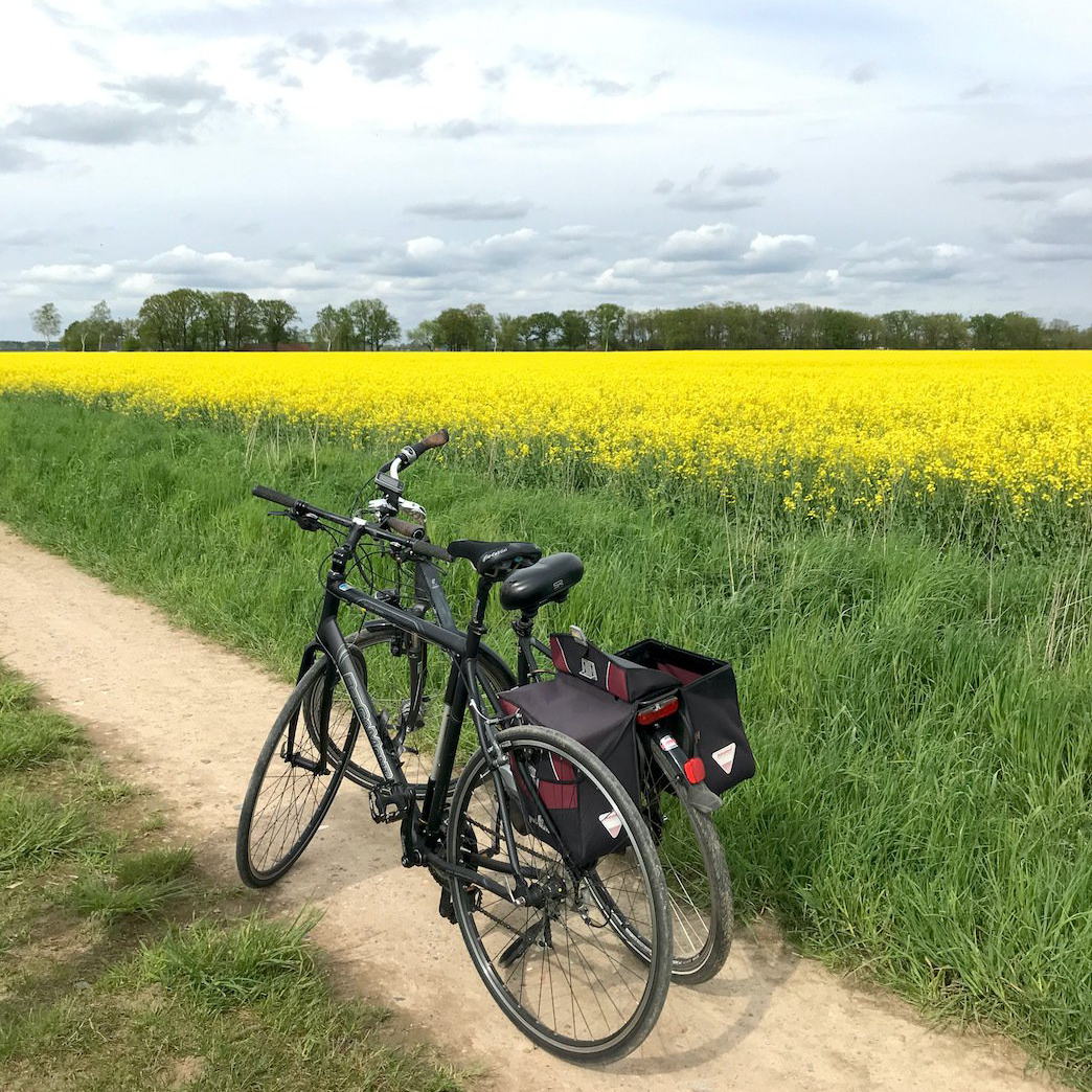 Das Aller-Leine-Tal zum Radfahren, Wandern oder für weitere Naturerlebnisse