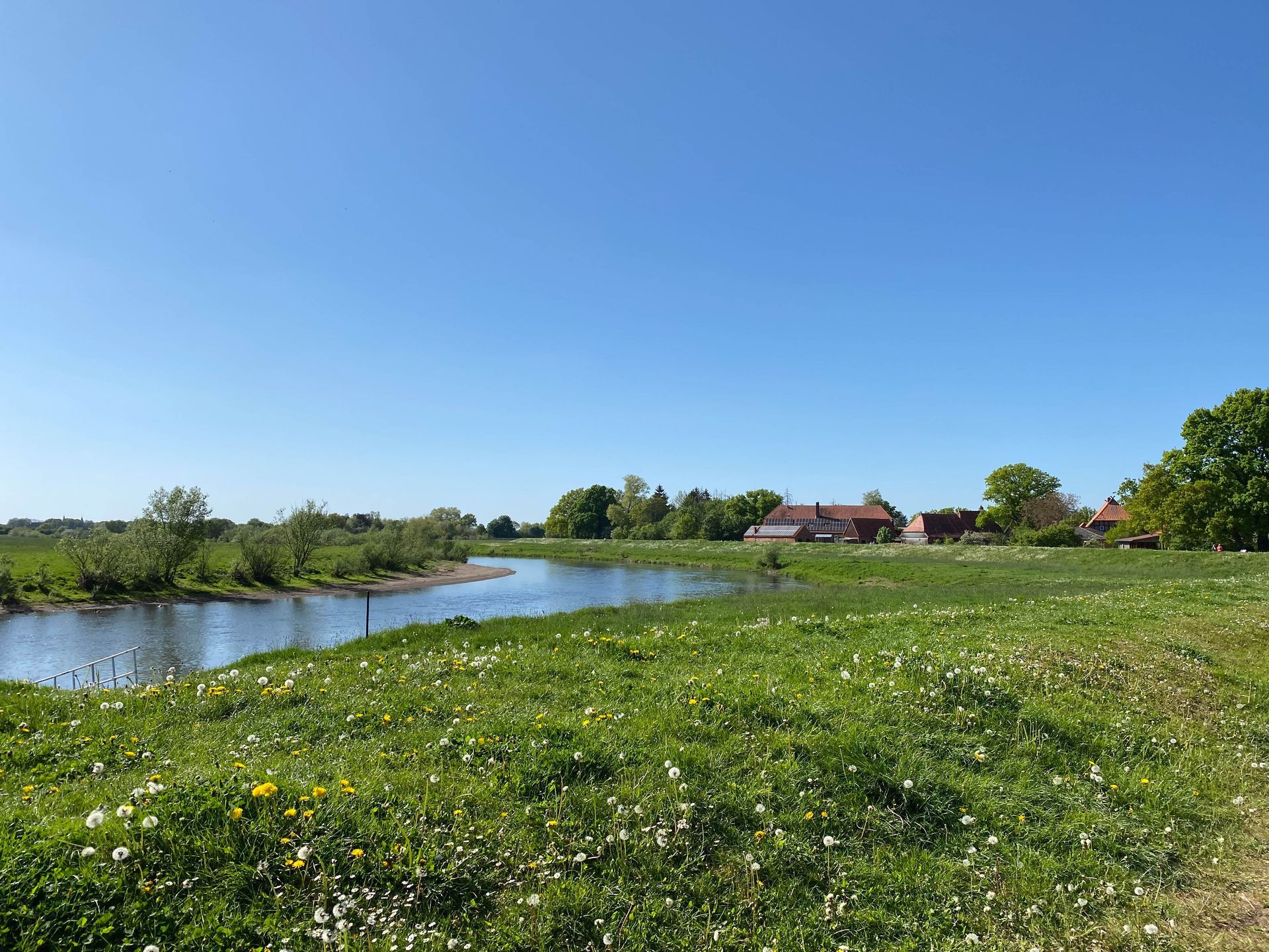 Eine grüne Landschaft mit einem sich schlängelnden Fluss, der an einer Wiese mit weißen Blüten vorbeifließt.