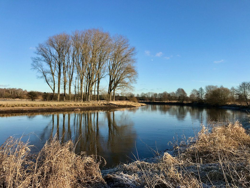 An einem ruhigen, spiegelglatten Flussufer unter klarem Himmel an einem sonnigen Wintertag steht eine Gruppe kahler Bäume.