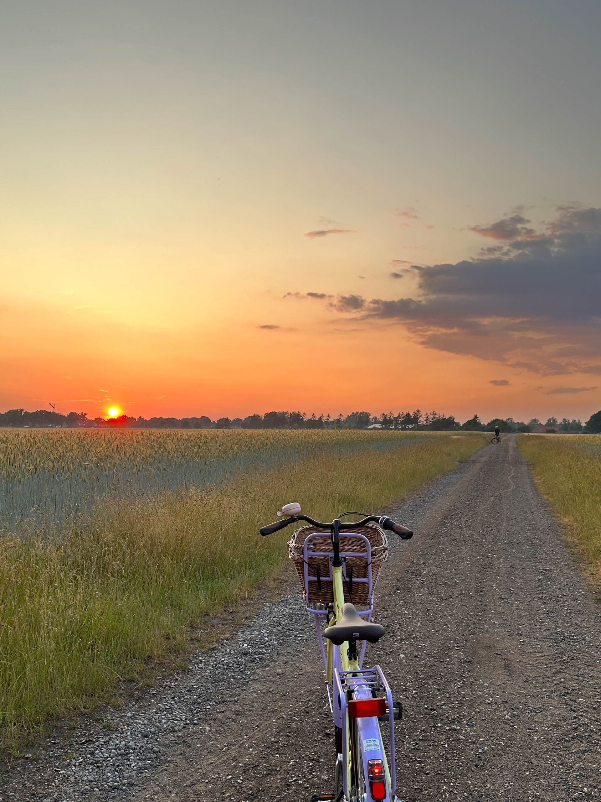Ein Fahrrad mit Frontkorb auf einem Schotterweg durch ein Feld während eines goldenen Sonnenuntergangs.