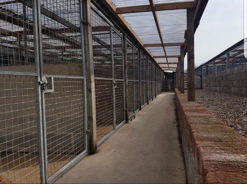 spacious dog kennels