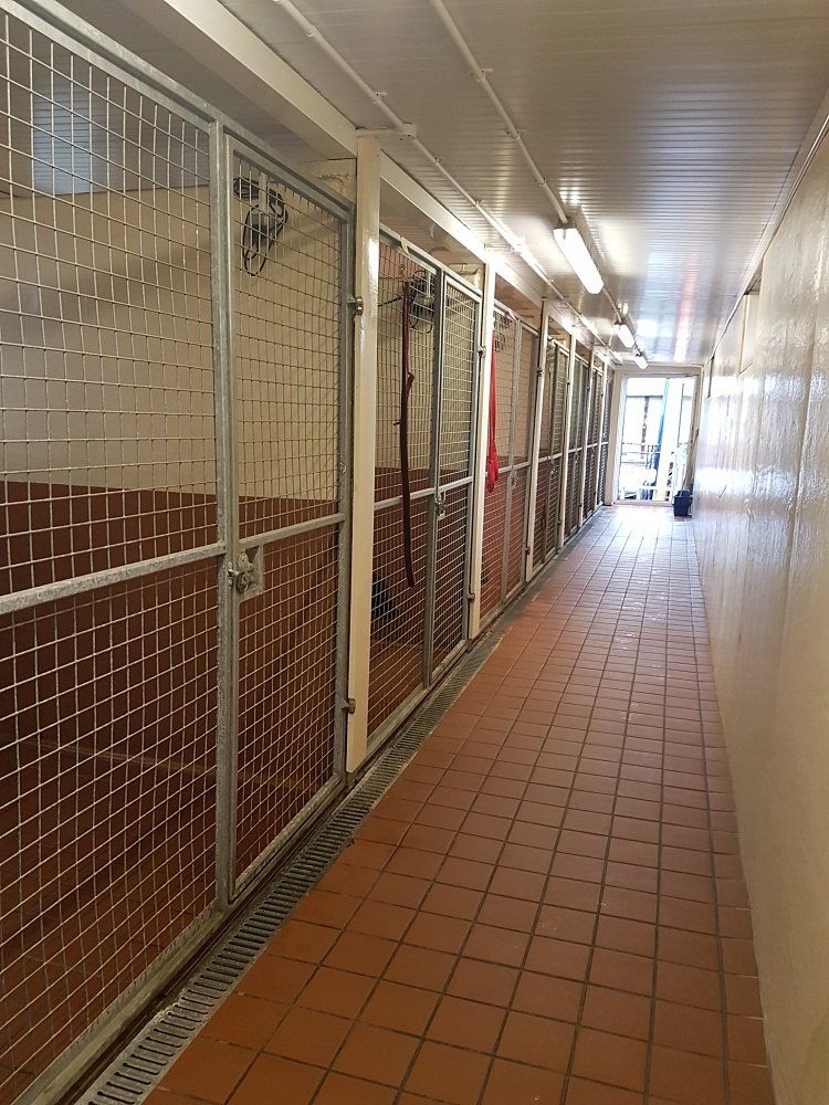 Luxury dog hotel Fiveacre Kennels