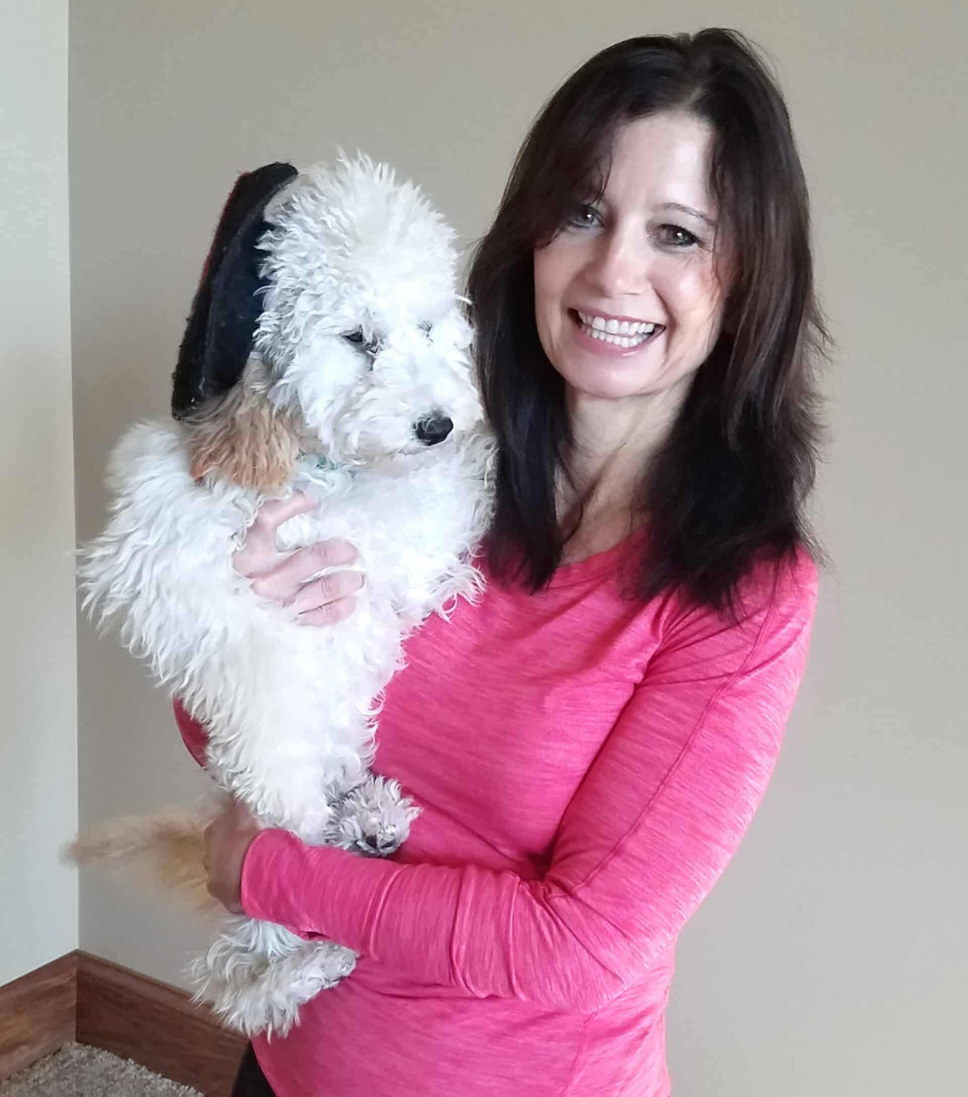 White Cute Dog And Owner — Saint Charles, MO — Positive Paws Pet Training Inc.