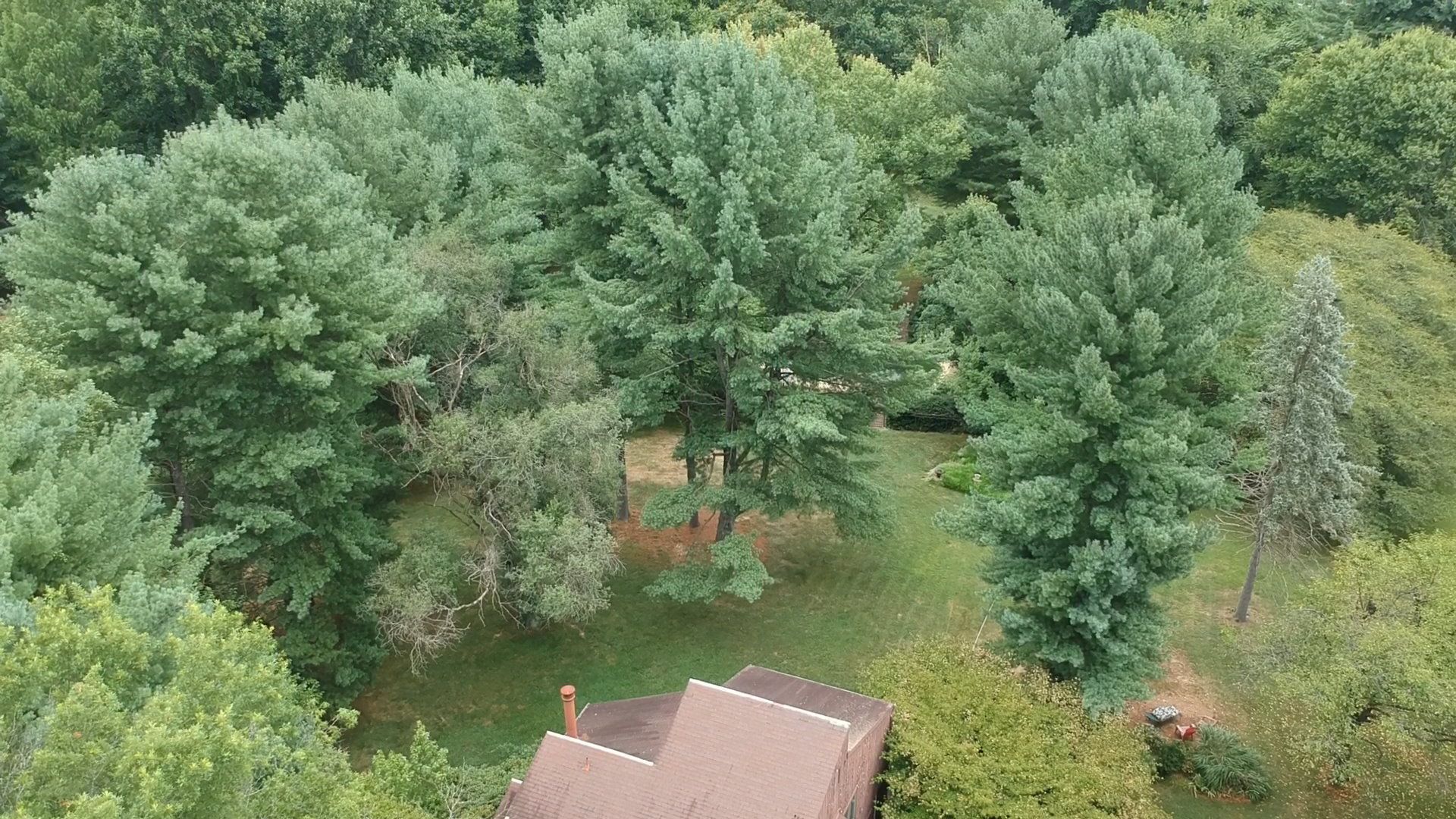 An aerial view of a house in the middle of a forest surrounded by trees.