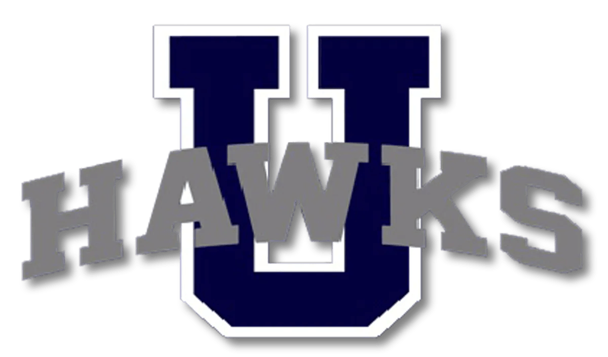 A blue and gray logo for the hawks