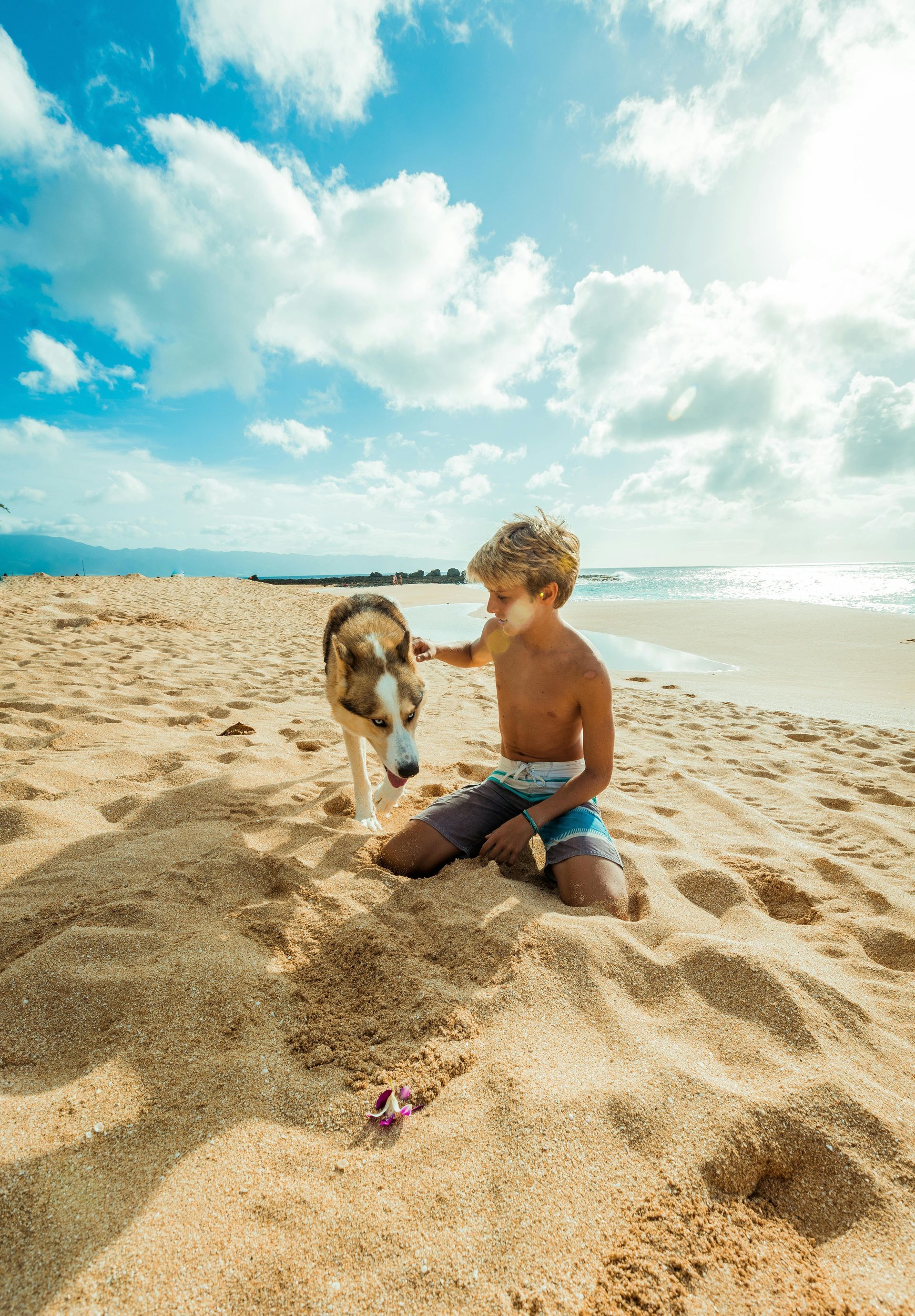 A young boy is playing with a dog on the beach.