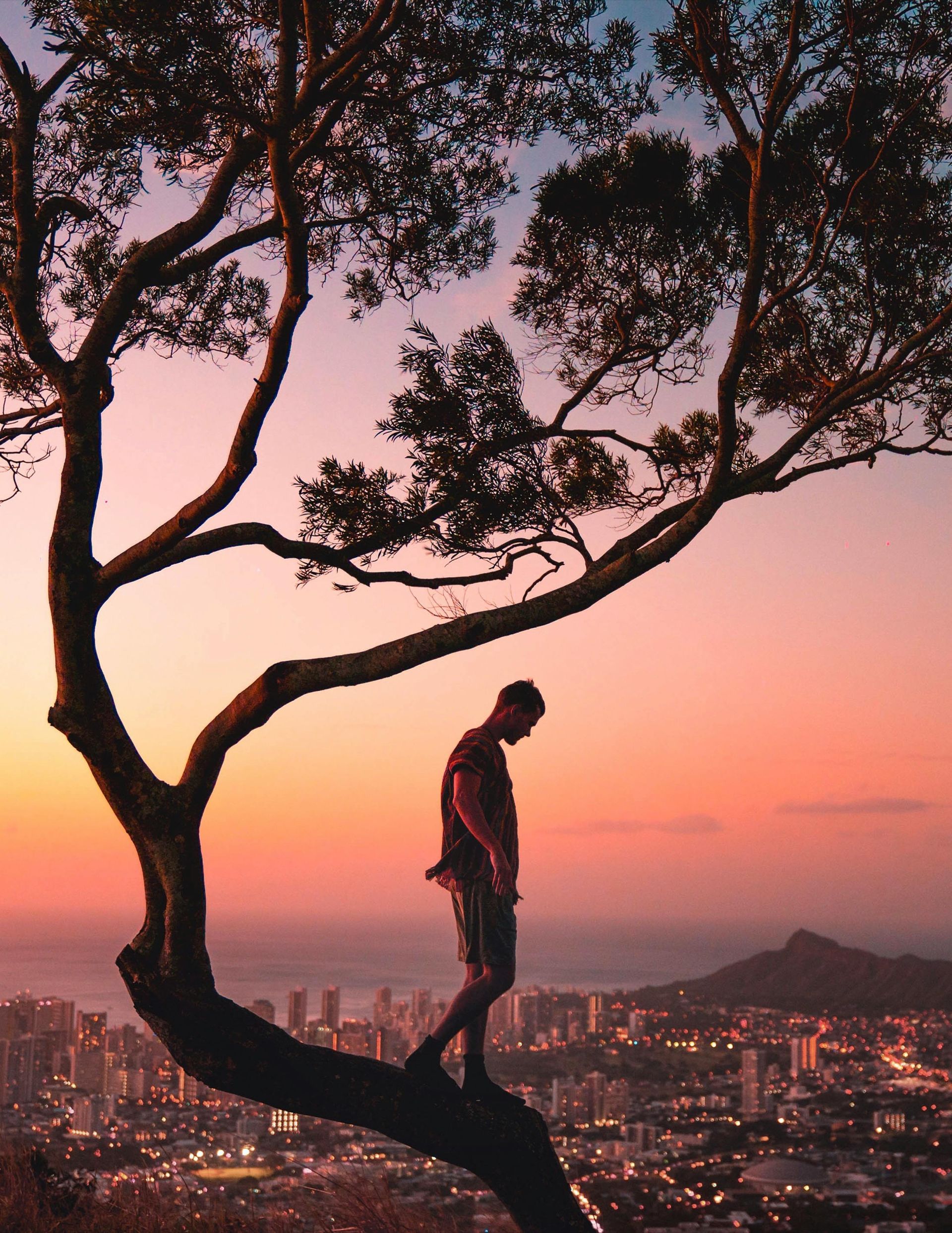 A man is standing on a tree branch overlooking a city at sunset.
