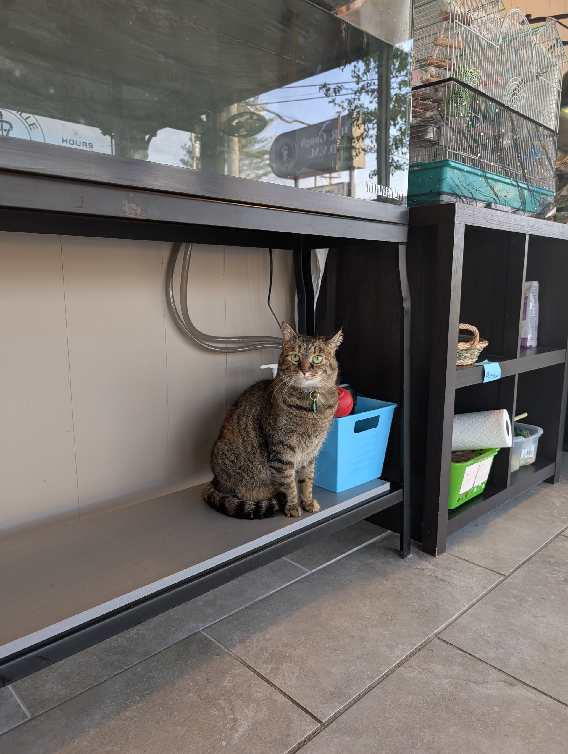 Animal Care —  in Clarksville, IN