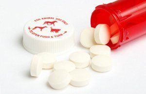 Acetaminophen (Tylenol) Poisoning Alert For Dogs And Cats
