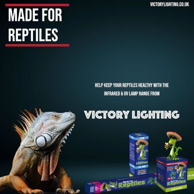 Made For Reptiles Lamps