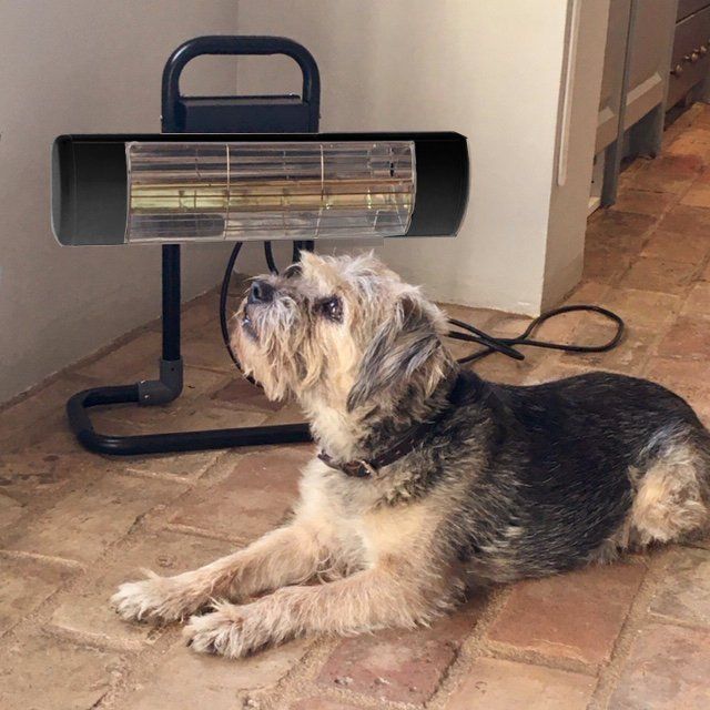 Minnie Heater & Dog