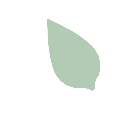 A green leaf is floating in the air on a white background.