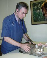 animal veterinary service