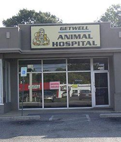 general veterinary services