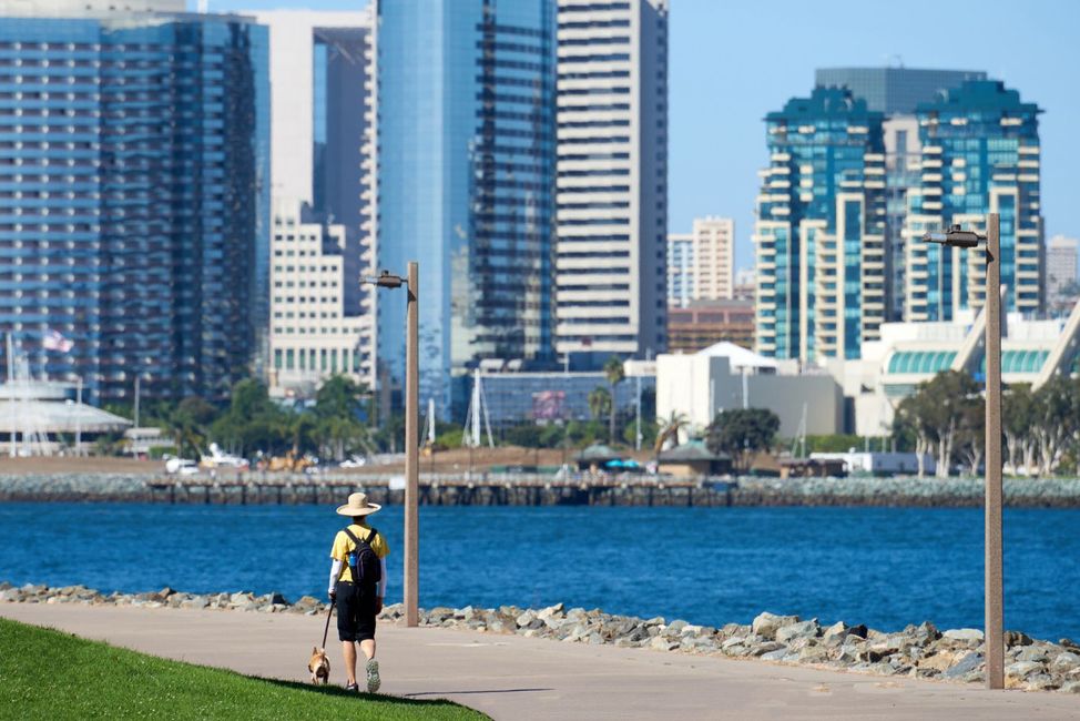 Person walking along a waterfront path with city skyscrapers in the background