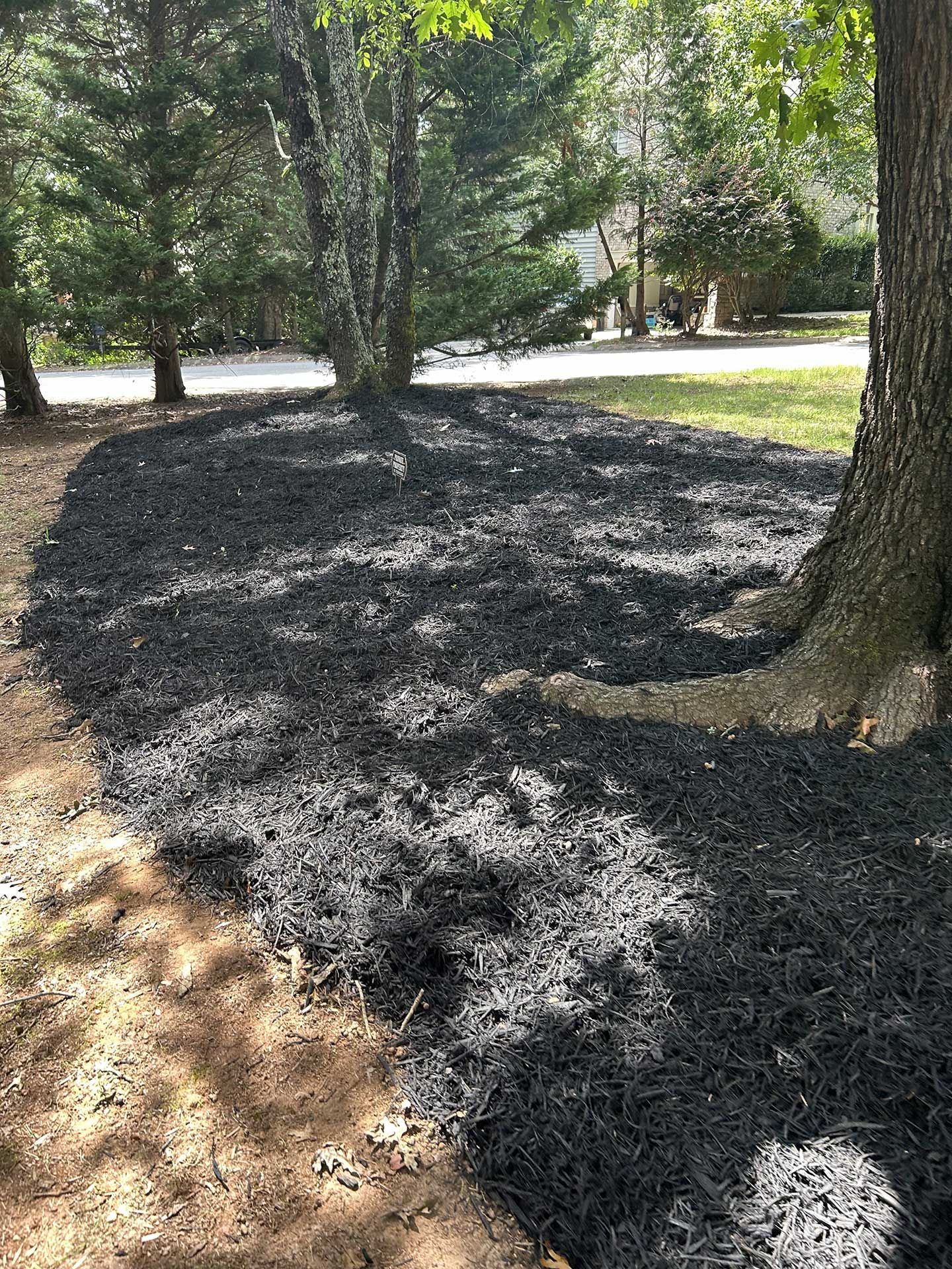 landscaping services 46