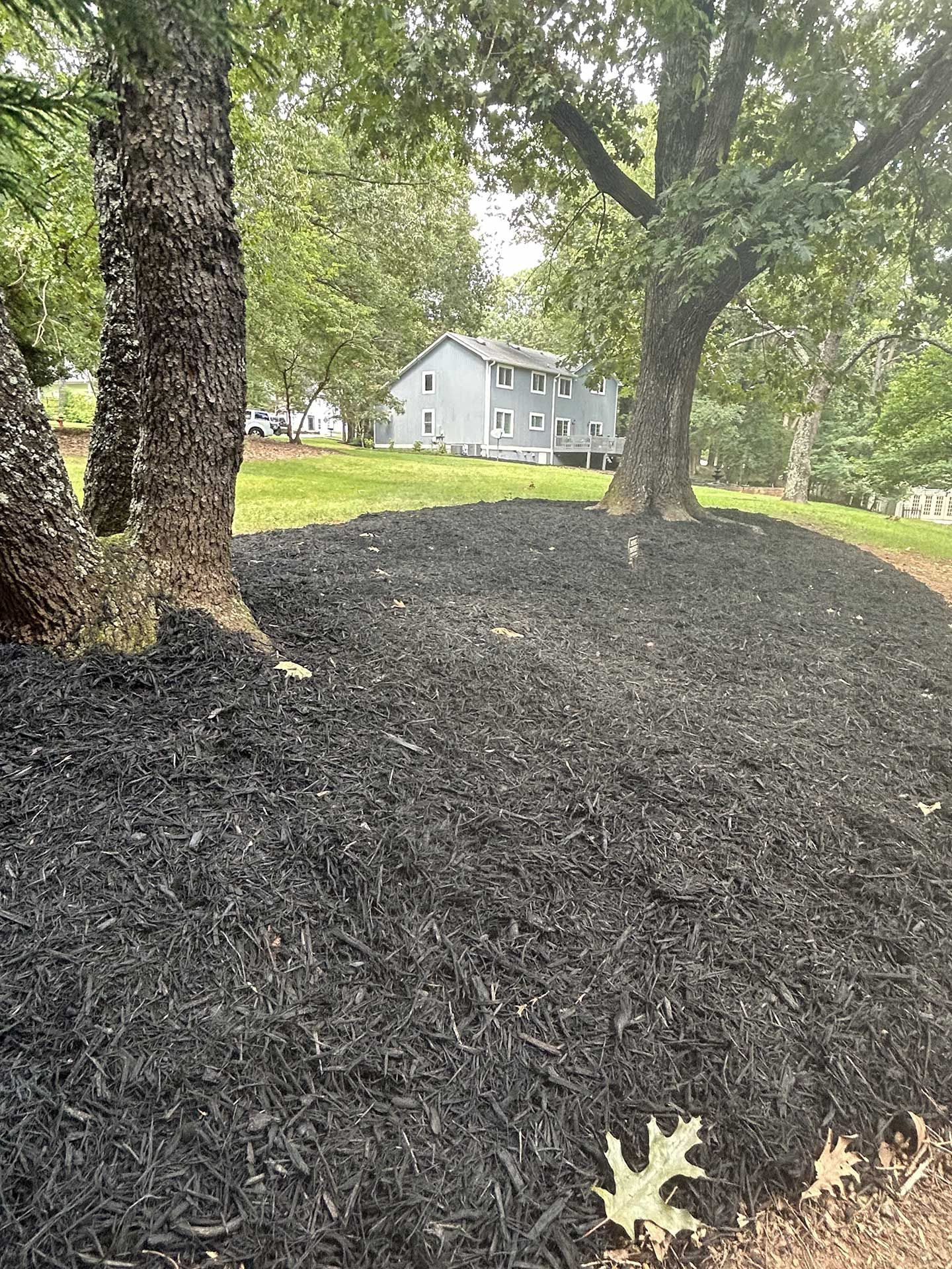 landscaping services 45