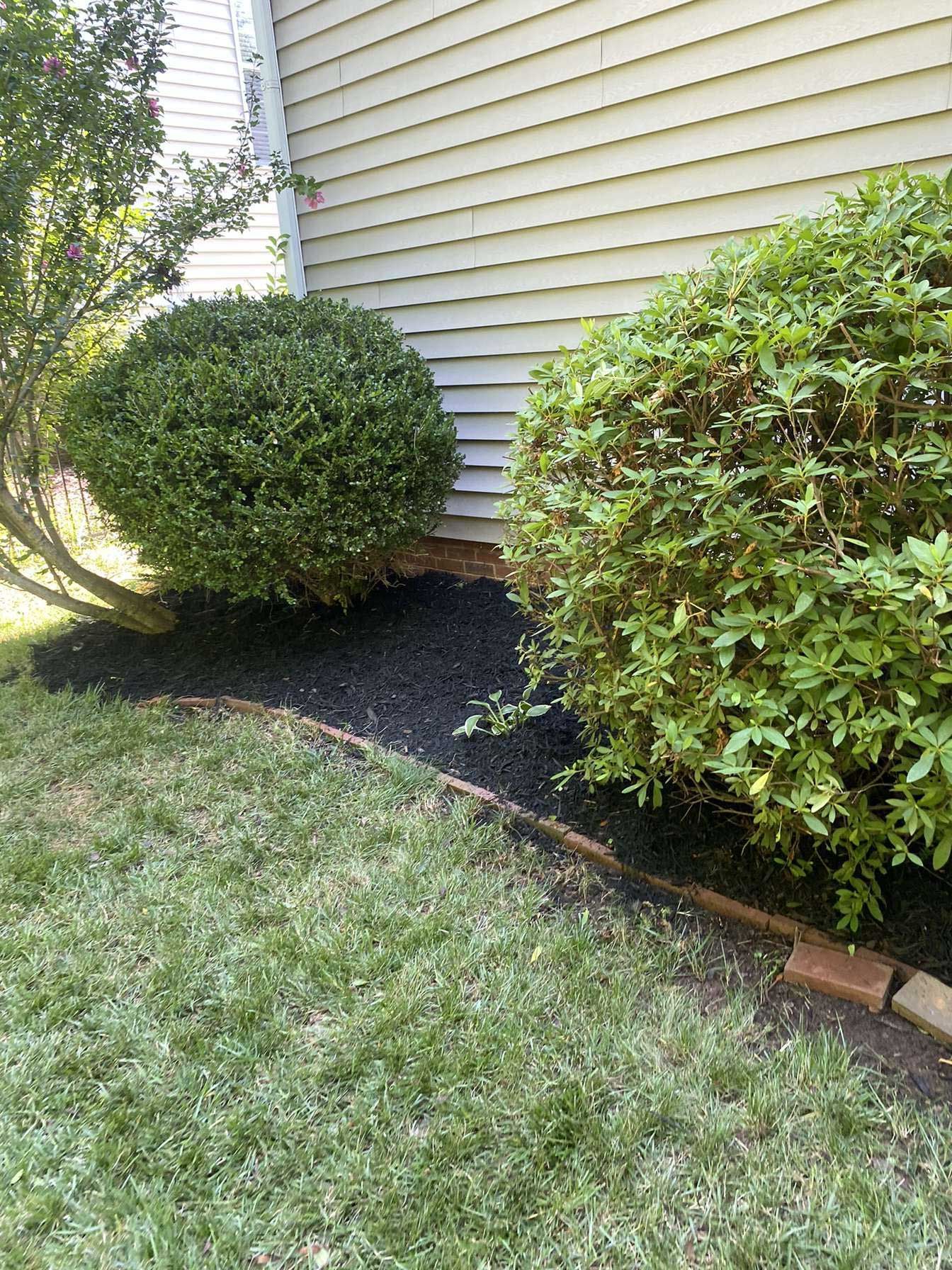 landscaping services43