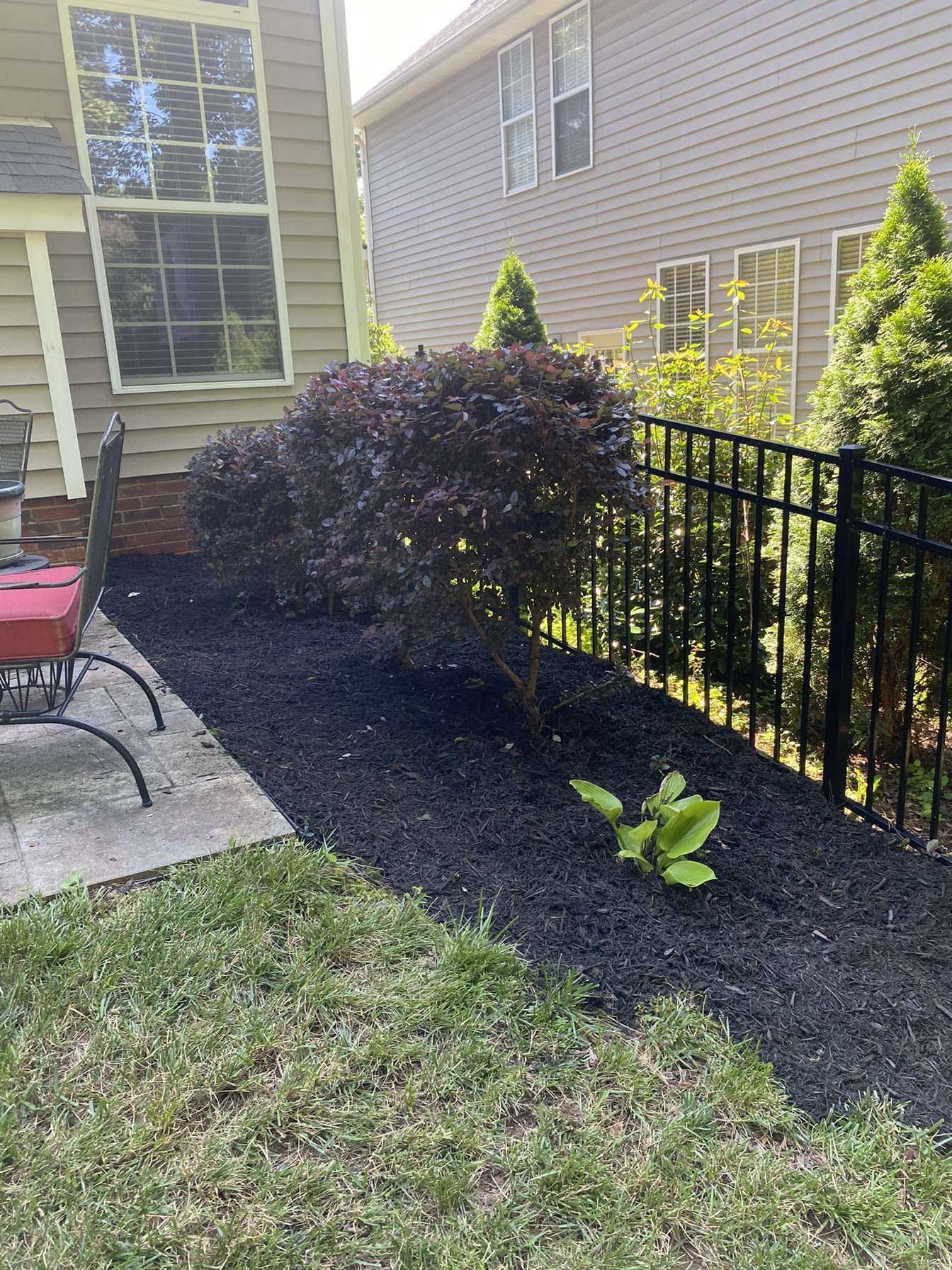 landscaping services 41