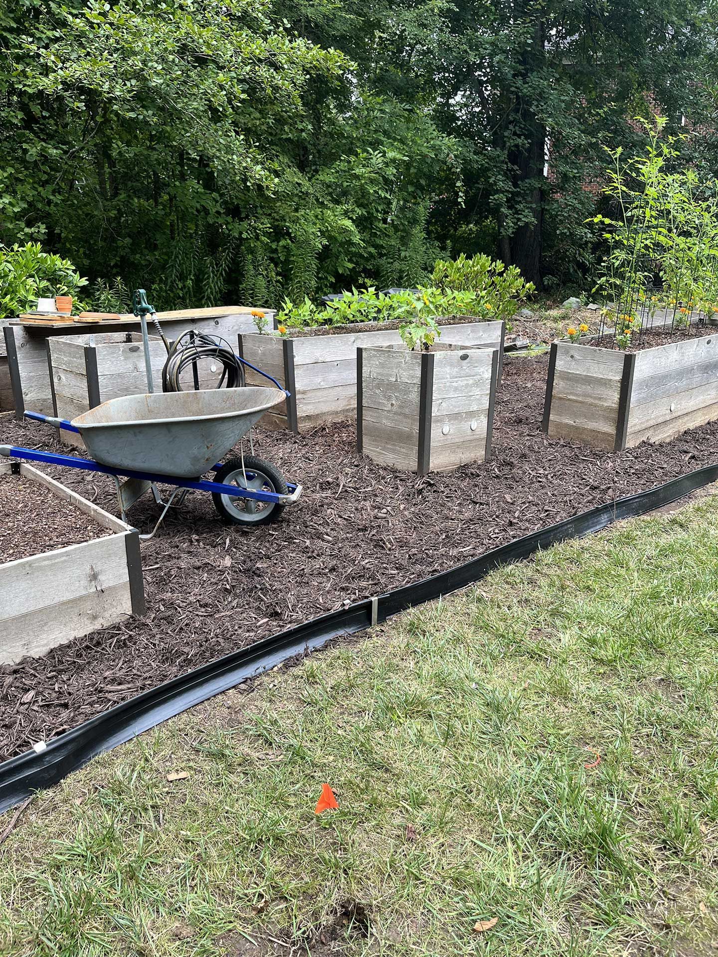 landscaping services 37