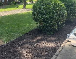 mulching in garden