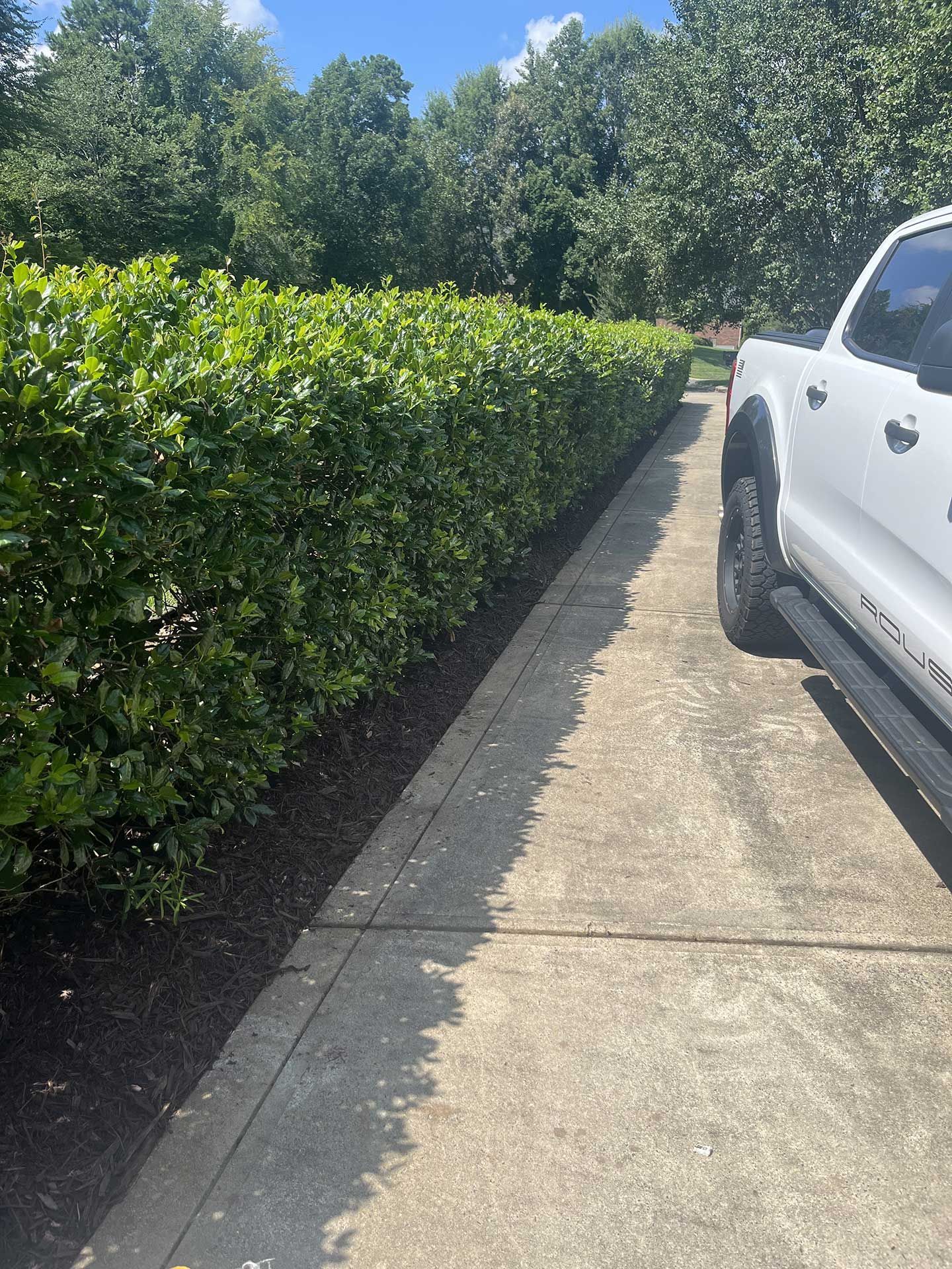 landscaping services 34