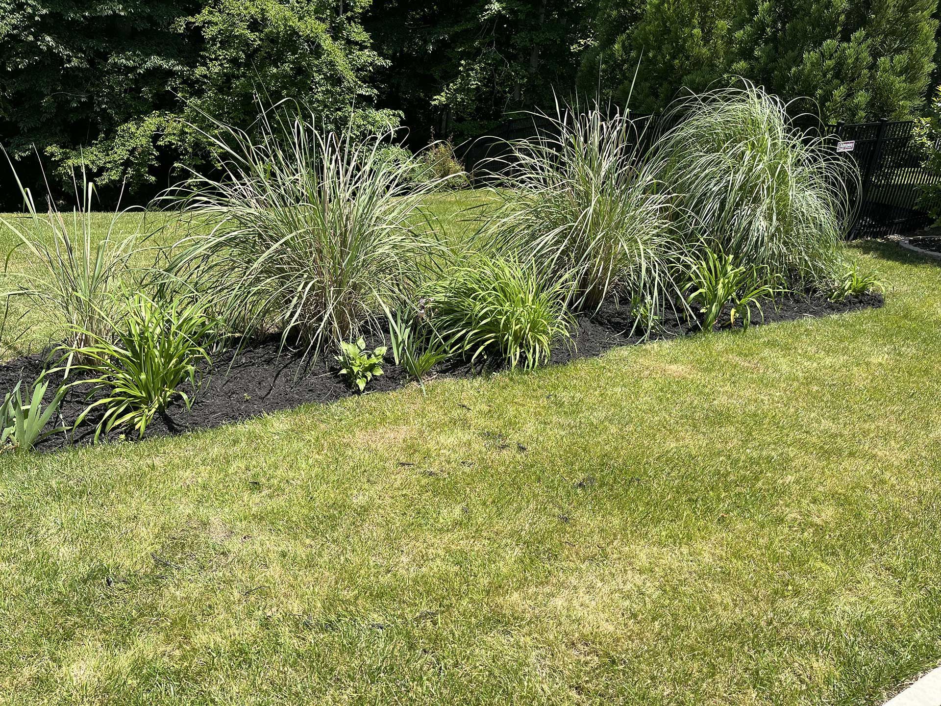 landscaping services  26