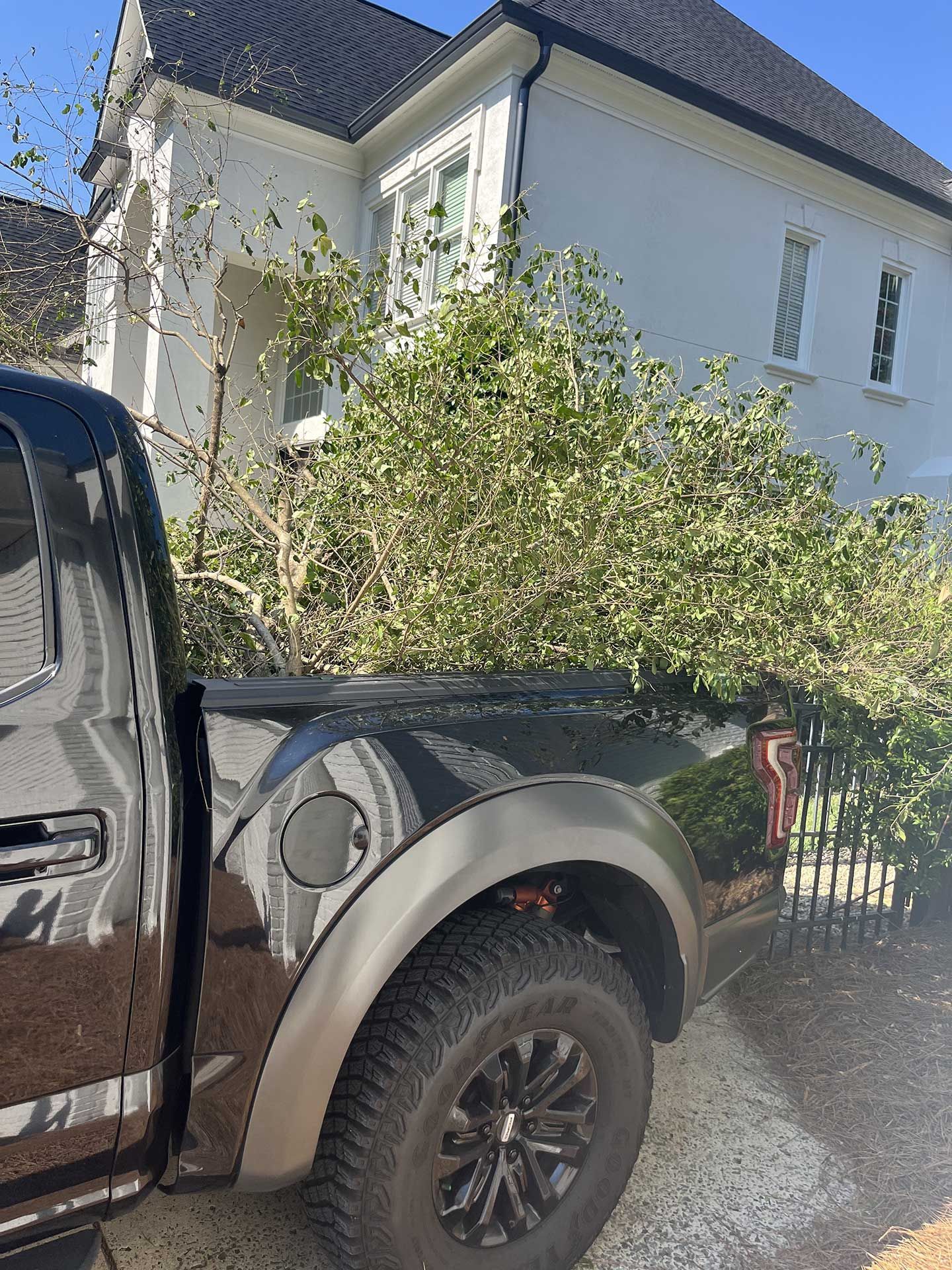 Charlotte Mulch Guys and More 2