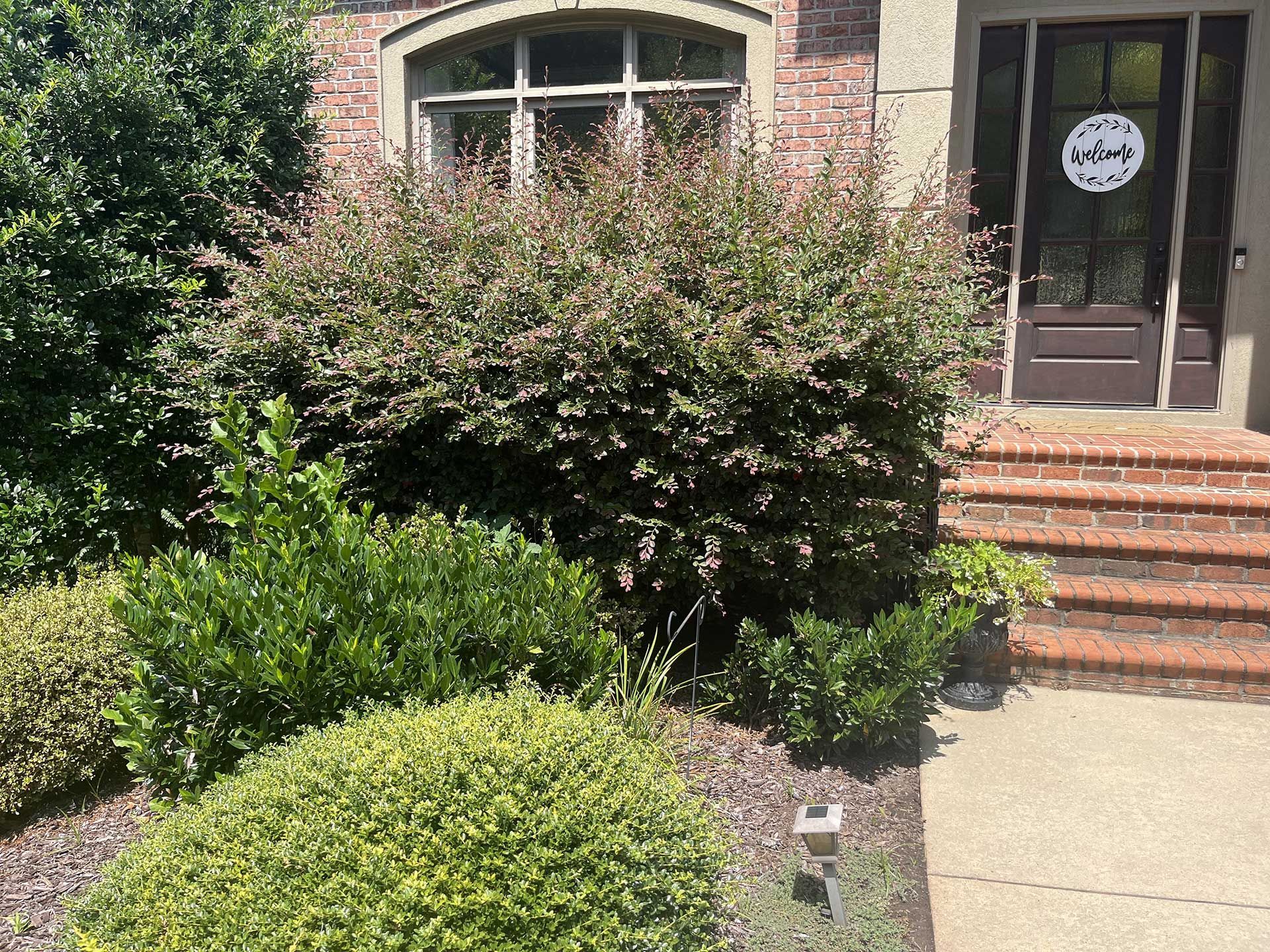 landscaping services 23