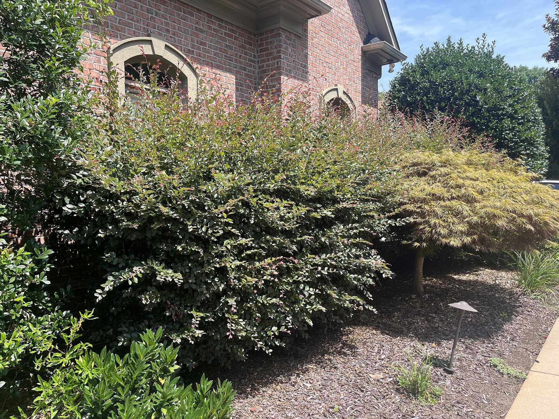 landscaping services 22