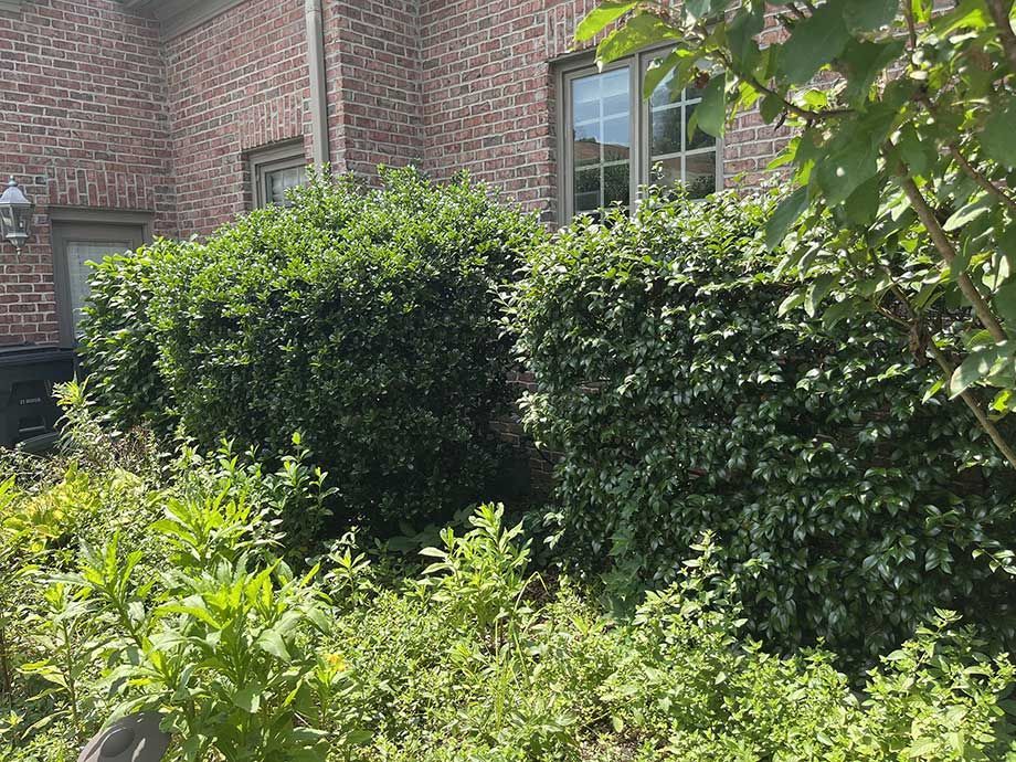 landscaping services 21