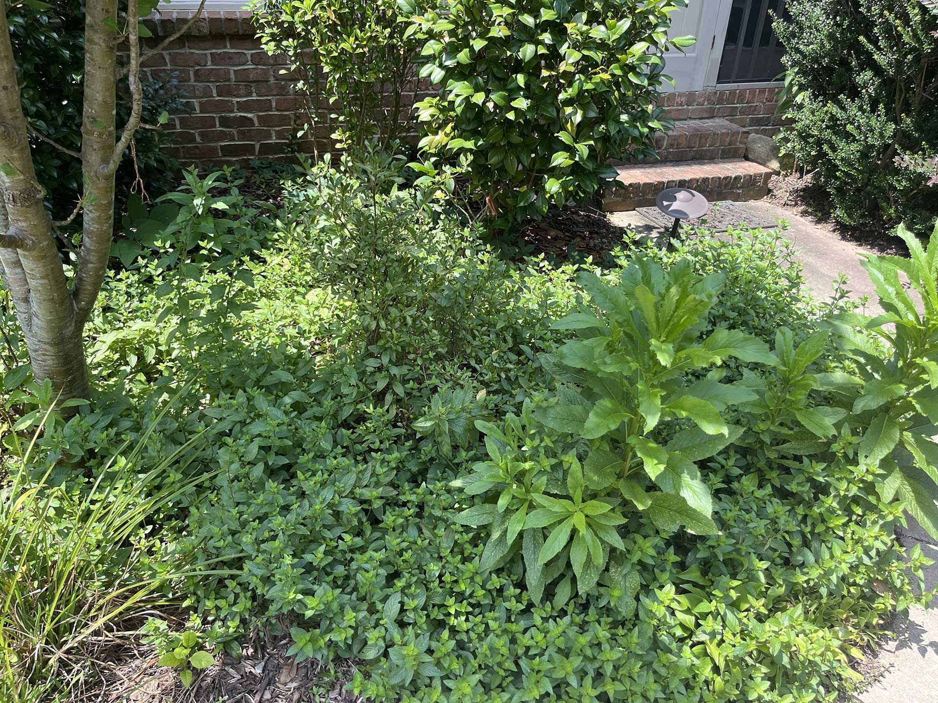 landscaping services 20