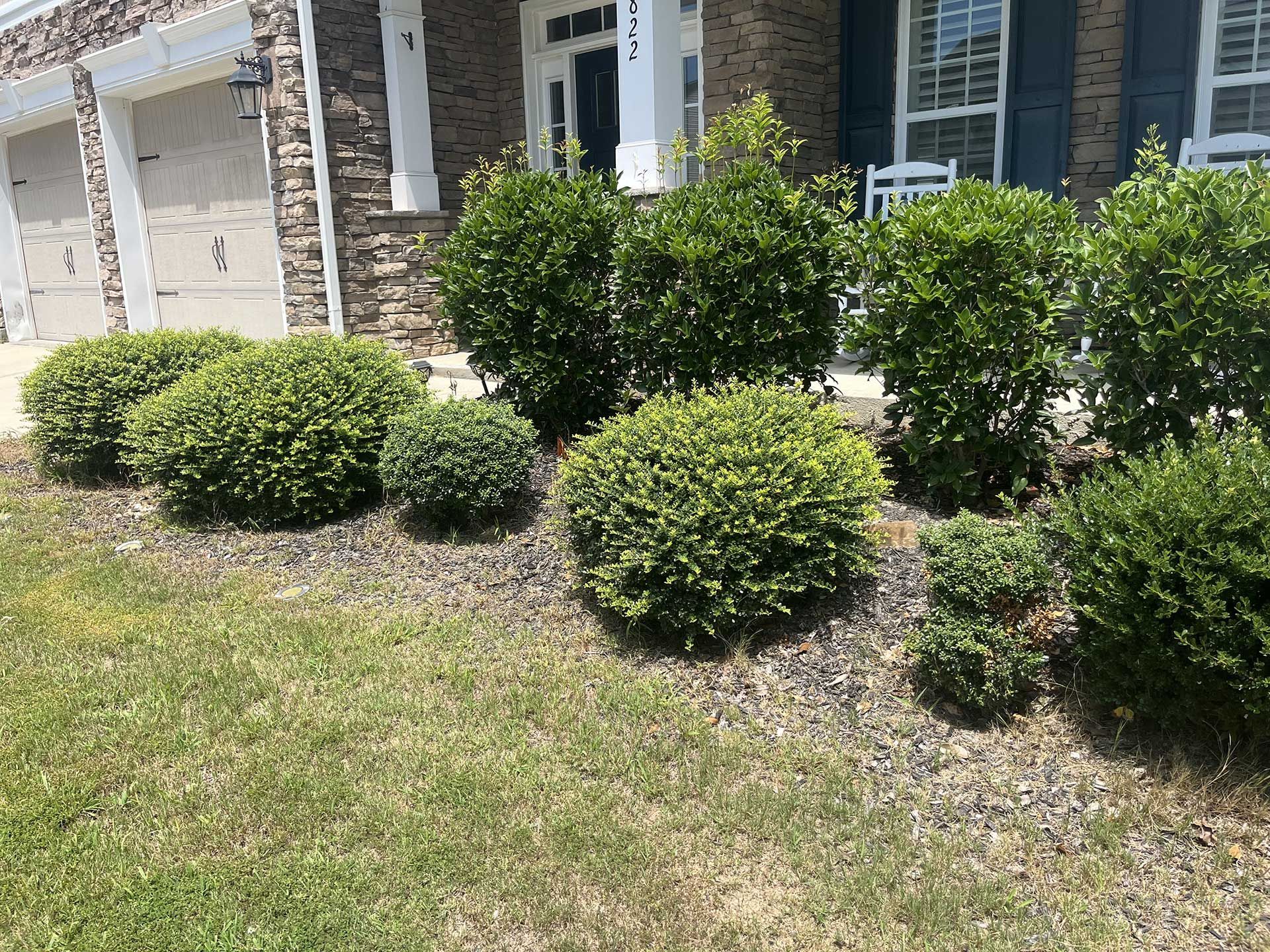 landscaping services 19