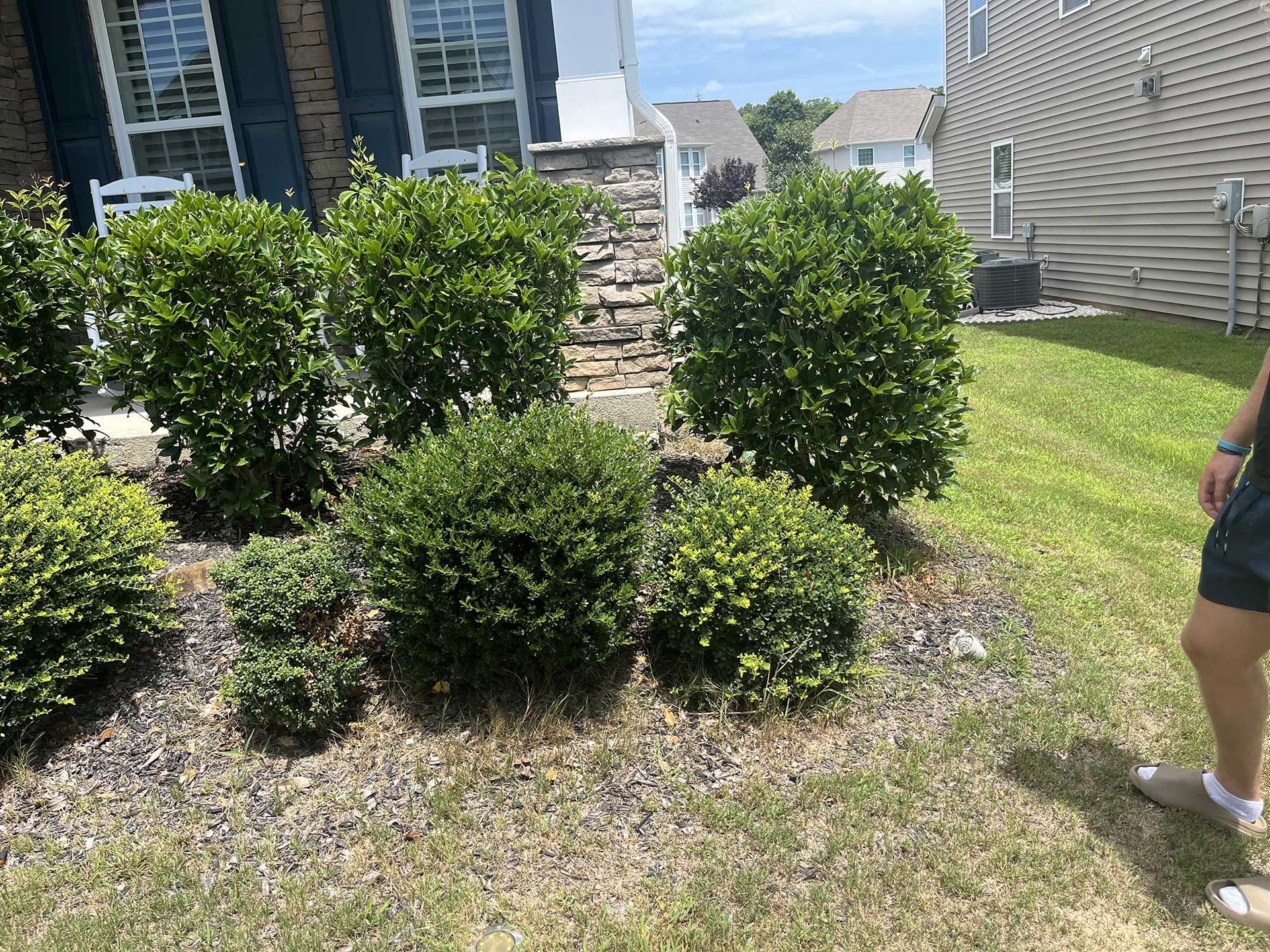 landscaping services 18