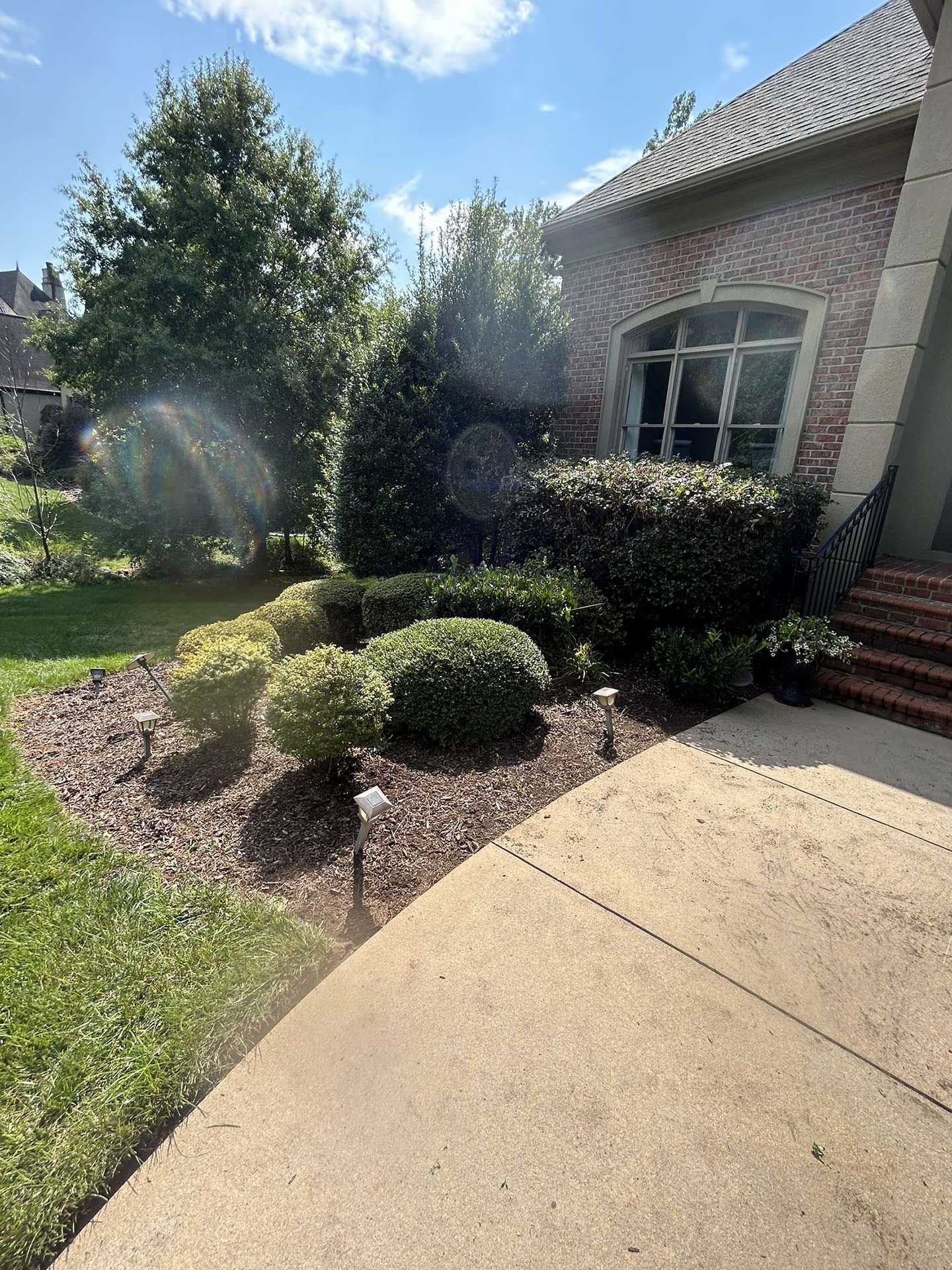 landscaping services 1