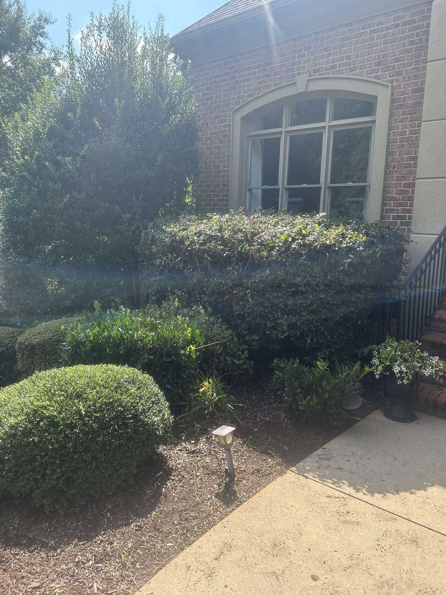 landscaping services 2