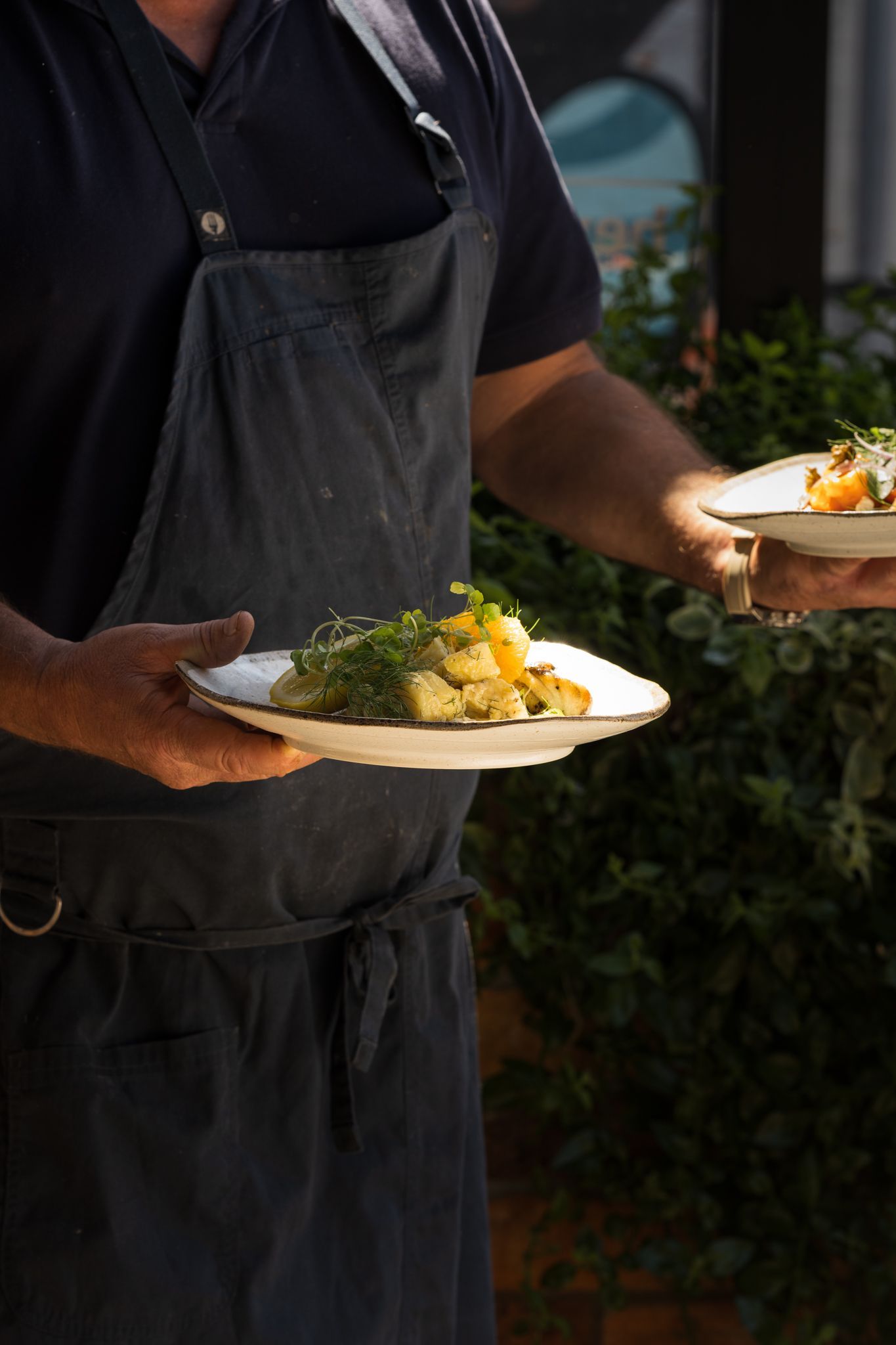 Walton Stores - Bergen x Harry & Kit