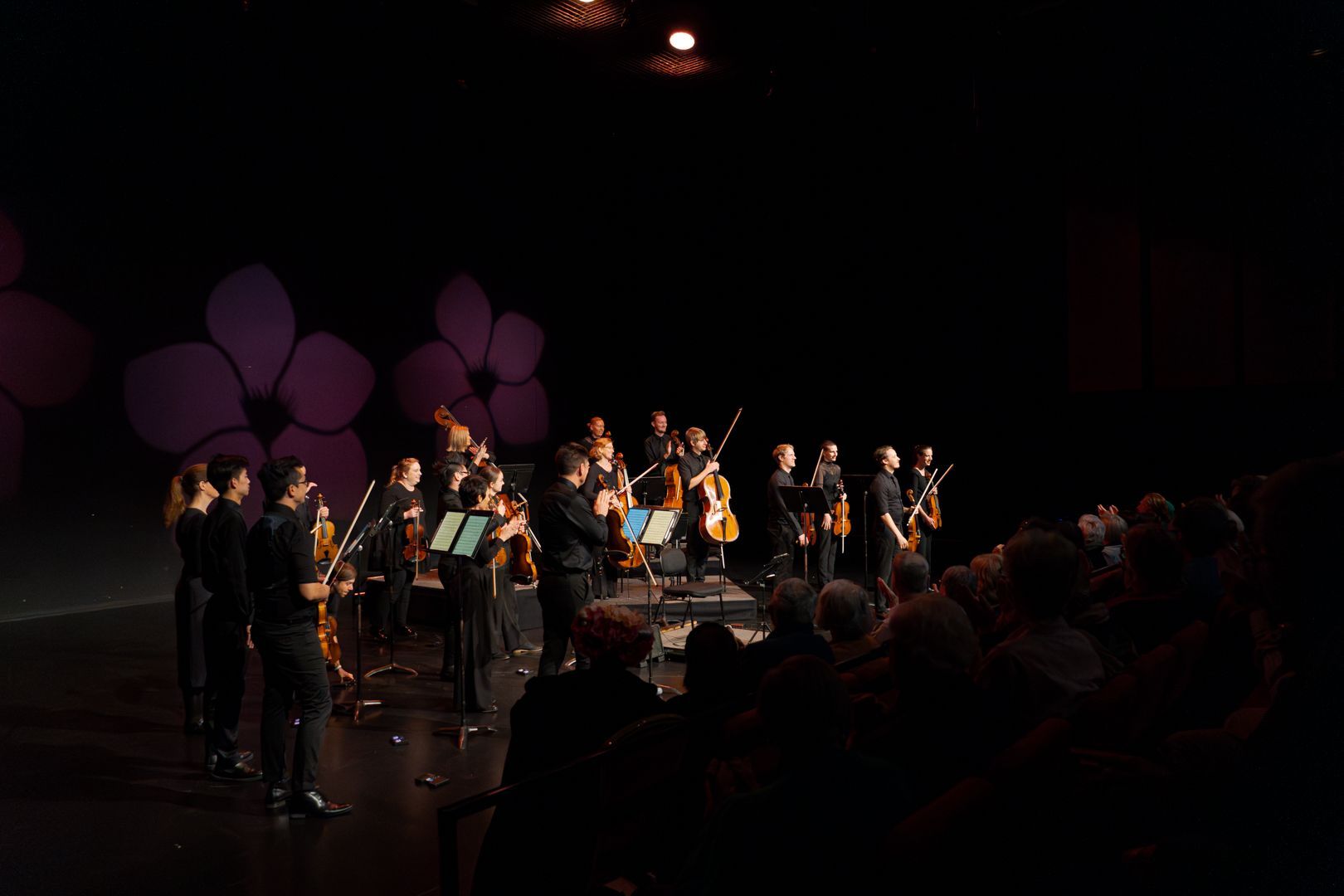 Camerata - Queensland's Chamber Orchestra