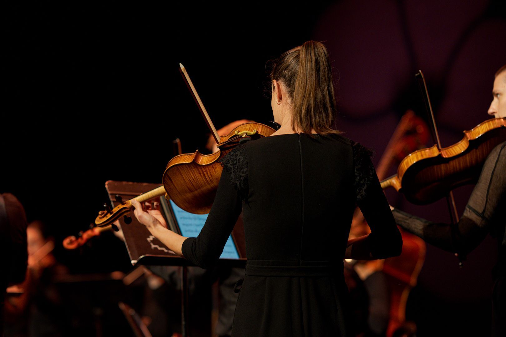 Camerata - Queensland's Chamber Orchestra