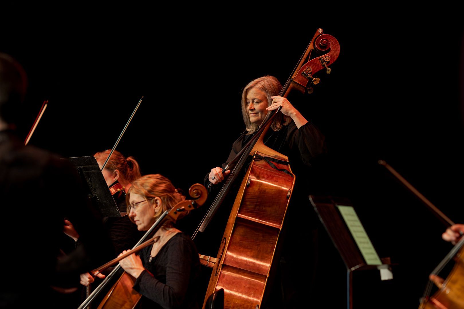 Camerata - Queensland's Chamber Orchestra