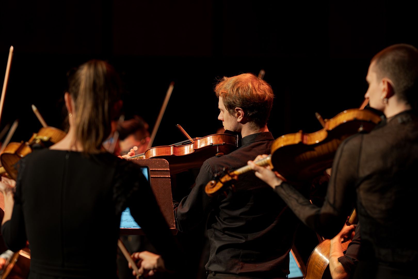 Camerata - Queensland's Chamber Orchestra