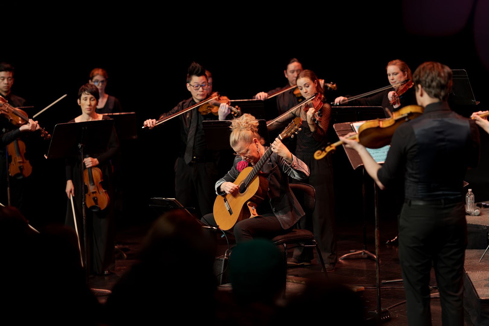Camerata - Queensland's Chamber Orchestra