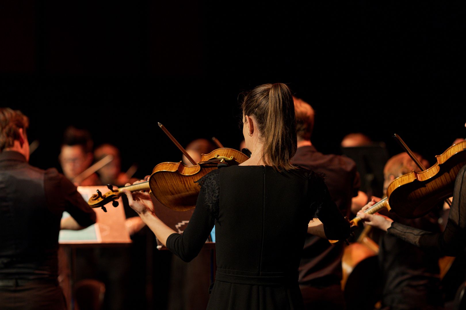 Camerata - Queensland's Chamber Orchestra